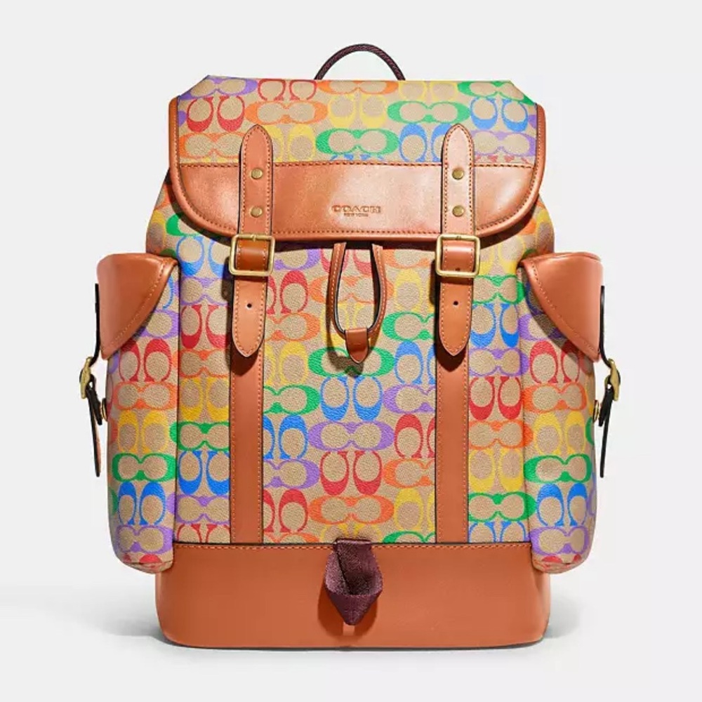 Hitch Backpack In Rainbow Signature Canvas